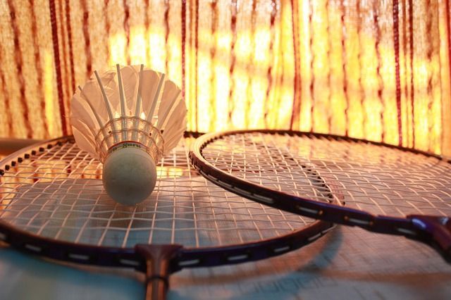 badminton-166415_640.jpg