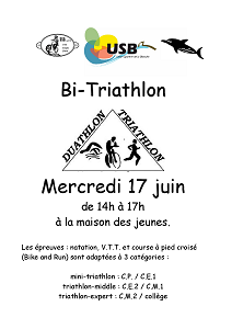 affiche Triathlon 2015