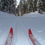 LES AMIS de la NEIGE